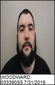 Brandon Gene Woodward a registered Sex Offender of Mississippi