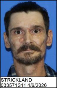 Scott Allen Strickland a registered Sex Offender of North Carolina
