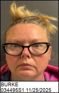 Danay R Burke a registered Sex Offender of North Carolina
