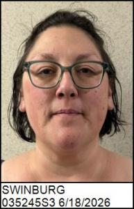 Danielle Lynn Swinburg a registered Sex Offender of North Carolina