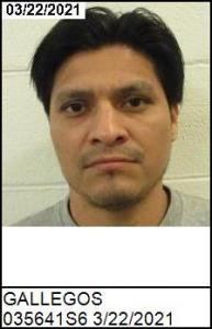 Oscar Gallegos a registered Sex Offender of Georgia
