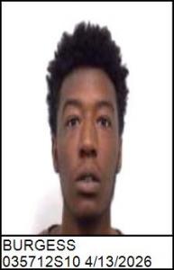 Nyrie Richard Burgess a registered Sex Offender of North Carolina