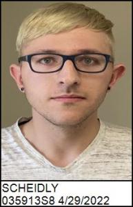 Nicholas Vincent Scheidly a registered Sex Offender of Georgia
