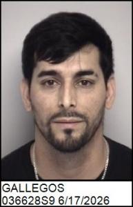 Alejandro Gallegos a registered Sex Offender of North Carolina