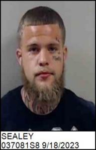 Dylan Joe Sealey a registered Sex Offender of North Carolina