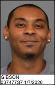 Timothy Frank Jr Gibson a registered Sex Offender of North Carolina