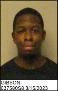Andrew C Gibson a registered Sex Offender of North Carolina