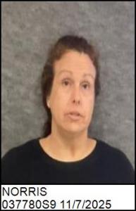 Kerrie Leigh Norris a registered Sex Offender of North Carolina