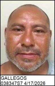 Jose Ignacio Gallegos a registered Sex Offender of North Carolina