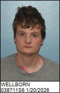 Paul Alexander Wellborn a registered Sex Offender of North Carolina