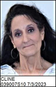 Tammy Bumgarner Cline a registered Sex Offender of North Carolina