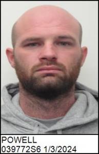 Brian Daniel Powell a registered Sex Offender of North Carolina
