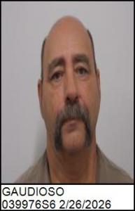 George Ronald Jr Gaudioso a registered Sex Offender of North Carolina