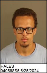 Keelan Benjamin Hales a registered Sex Offender of North Carolina