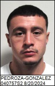Jose L Pedroza-gonzalez a registered Sex Offender of North Carolina