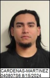 Elvis Geovan Cardenas-martinez a registered Sex Offender of Georgia
