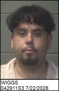 Aaron Michael Wiggs a registered Sex Offender of North Carolina