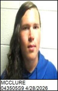 David W Mcclure a registered Sex Offender of North Carolina