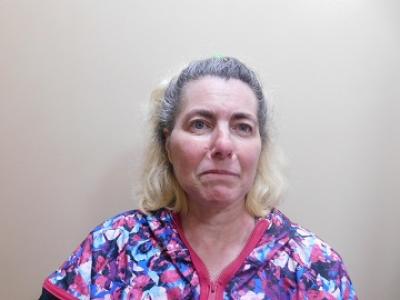 Susan Ann Flynn a registered Sex Offender of Tennessee