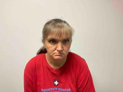 Mary Ann Butler a registered Sex Offender of Tennessee