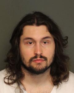 Logan Daniel Baumstein a registered Sex Offender of Tennessee