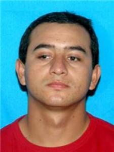 Ricardo Anibal Sevilla a registered Sex Offender of Tennessee