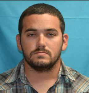 Brandon Harvy Francis a registered Sex Offender of Tennessee