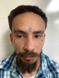 Shawn Lee Feinstein a registered Sex Offender of Tennessee