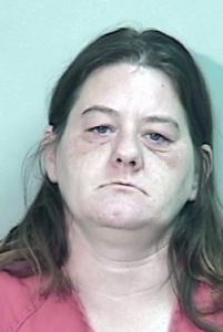 Tammy Marie Barnes a registered Sexual Offender or Predator of Florida