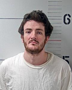 Dalton Ples Parks a registered Sex Offender of Tennessee