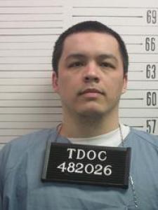 Ian Robert Nelson a registered Sex Offender of Michigan