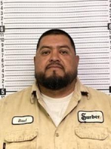 Raul Acaredo a registered Sex Offender of Texas