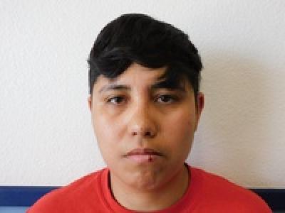 Crystal Iliana Gallegos a registered Sex Offender of Texas