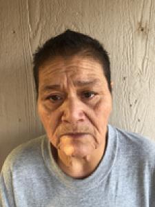 Maria Patricia Villarreal a registered Sex Offender of Texas