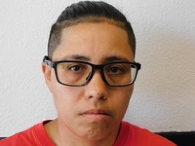 Crystal Iliana Gallegos a registered Sex Offender of Texas