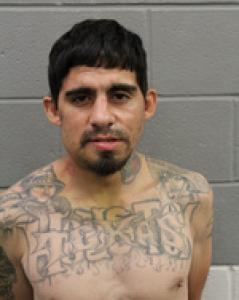 Irving Flores a registered Sex Offender of Texas