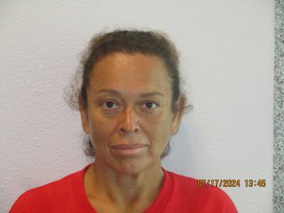 Elisa Wise Tamez a registered Sex Offender of Texas