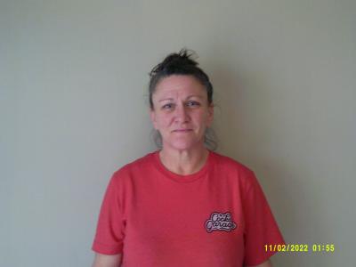 Amy Denise Hutchings a registered Sex Offender of Texas