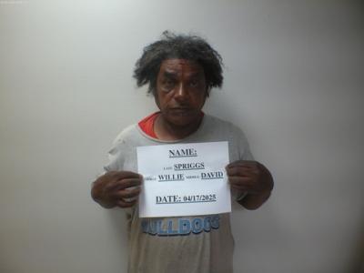 Willie David Spriggs a registered Sex Offender of Texas