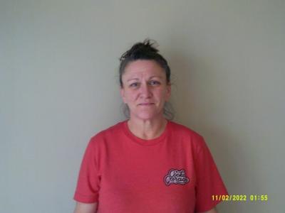 Amy Denise Hutchings a registered Sex Offender of Texas