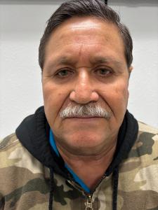 Domingo Salines a registered Sex Offender of Texas