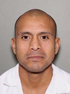 Javier Martinez Salinas a registered  of Texas