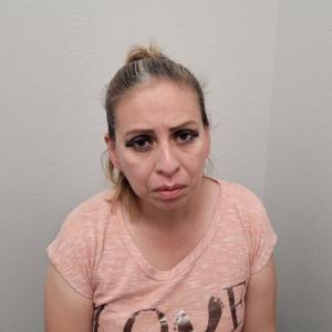 Annel Araceli Arreola a registered Sex Offender of Texas