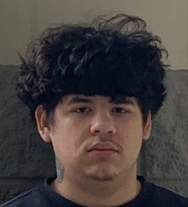 Mathew Hamann a registered Sex Offender of Texas