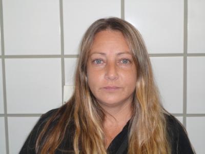 Amanda Michelle Lee Brenneman a registered Sex Offender of Texas