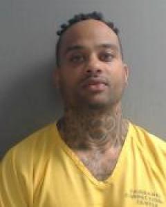 Ethan James Pippins a registered Sex Offender / Child Kidnapper of Alaska