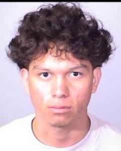 Nelson Ricardo Abarca-rivas a registered Sex Offender of California