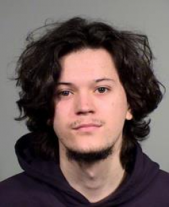 Nicholas Ryan Beiner a registered Sex Offender of California