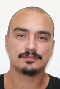 Raymond Jose Olivarez a registered Sex Offender of California