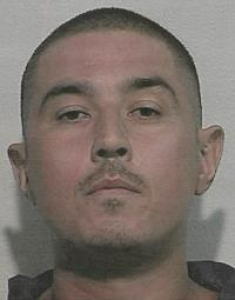 Shane Michael Helm a registered Sex Offender of California
